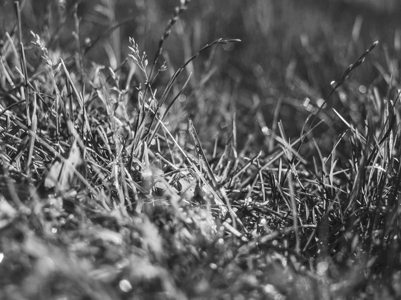 sudoku subset counting screenshot 2